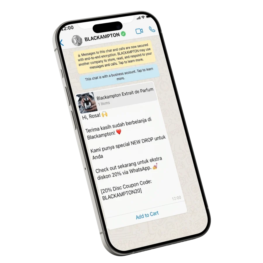 Segmented WhatsApp message sent to ecommerce customers